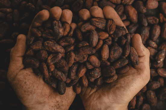 a group of people are doing cacao ceremony